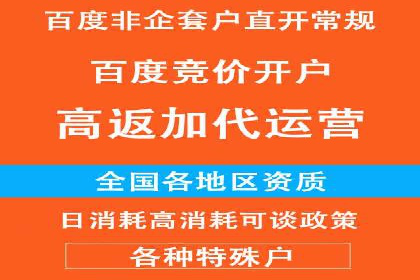 案例解析：如何通过百度推广实现快速转化